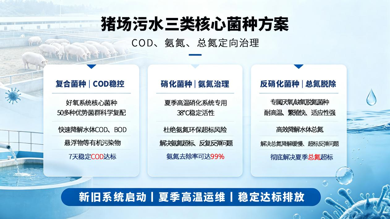 1784535572502524.png 图片9.png