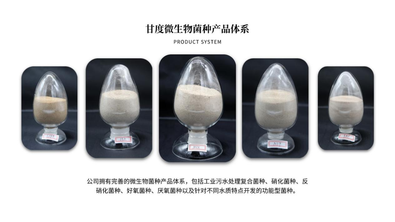 1787218415867953.png 图片1.png